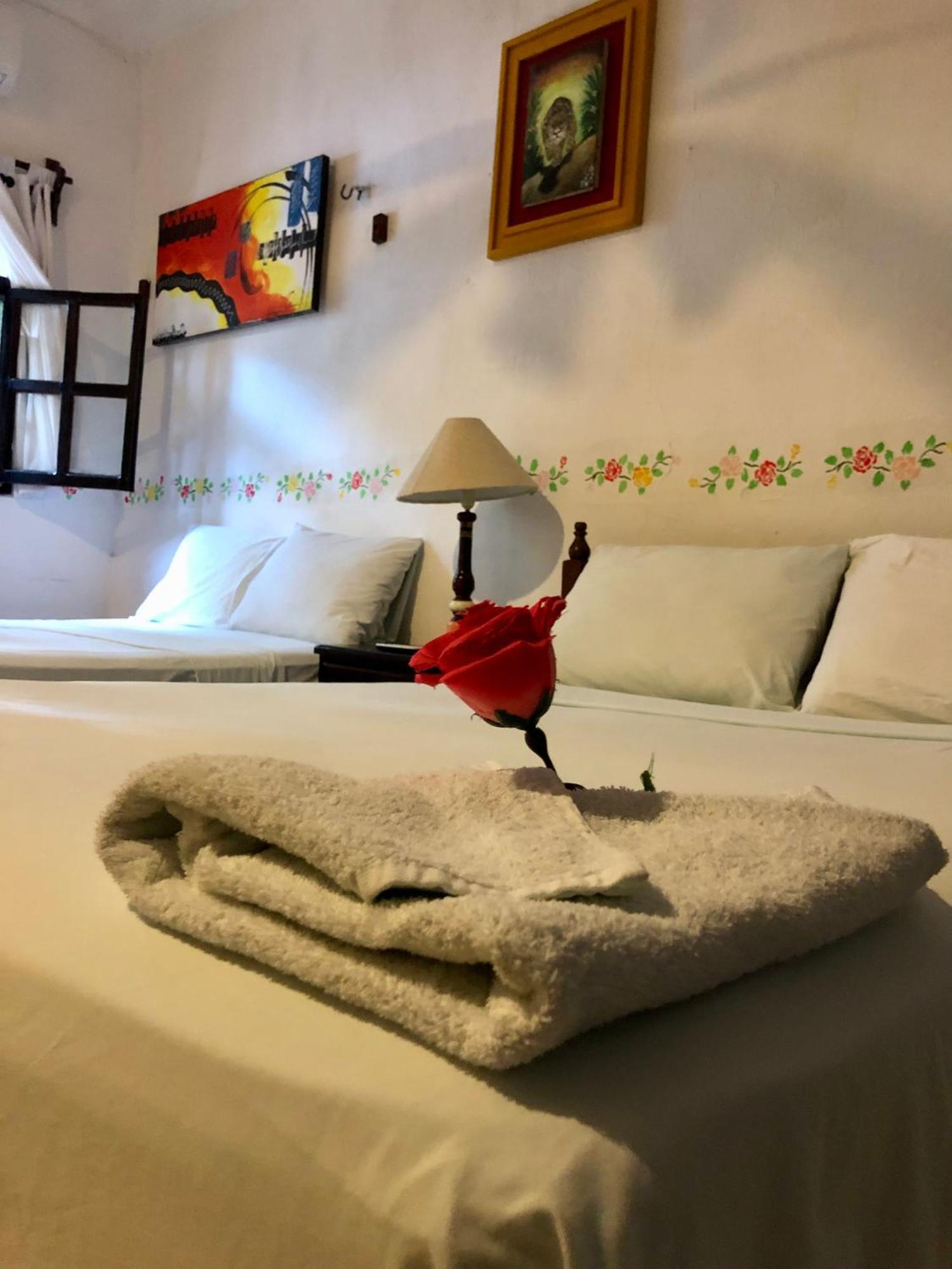 La Casa De Angel Valladolid エクステリア 写真